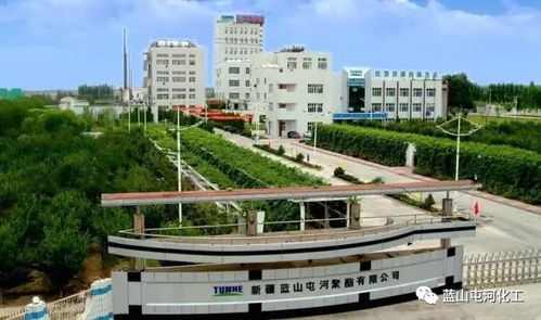 聚酯公司荣膺自治区绿色工厂称号 以技术引领，铸就绿色可持续发展新标杆